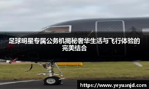 足球明星专属公务机揭秘奢华生活与飞行体验的完美结合