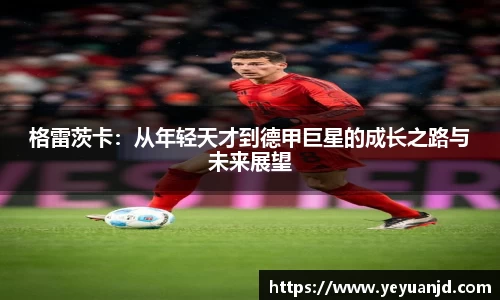 格雷茨卡：从年轻天才到德甲巨星的成长之路与未来展望