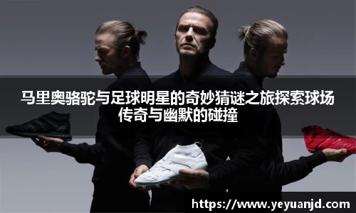 马里奥骆驼与足球明星的奇妙猜谜之旅探索球场传奇与幽默的碰撞